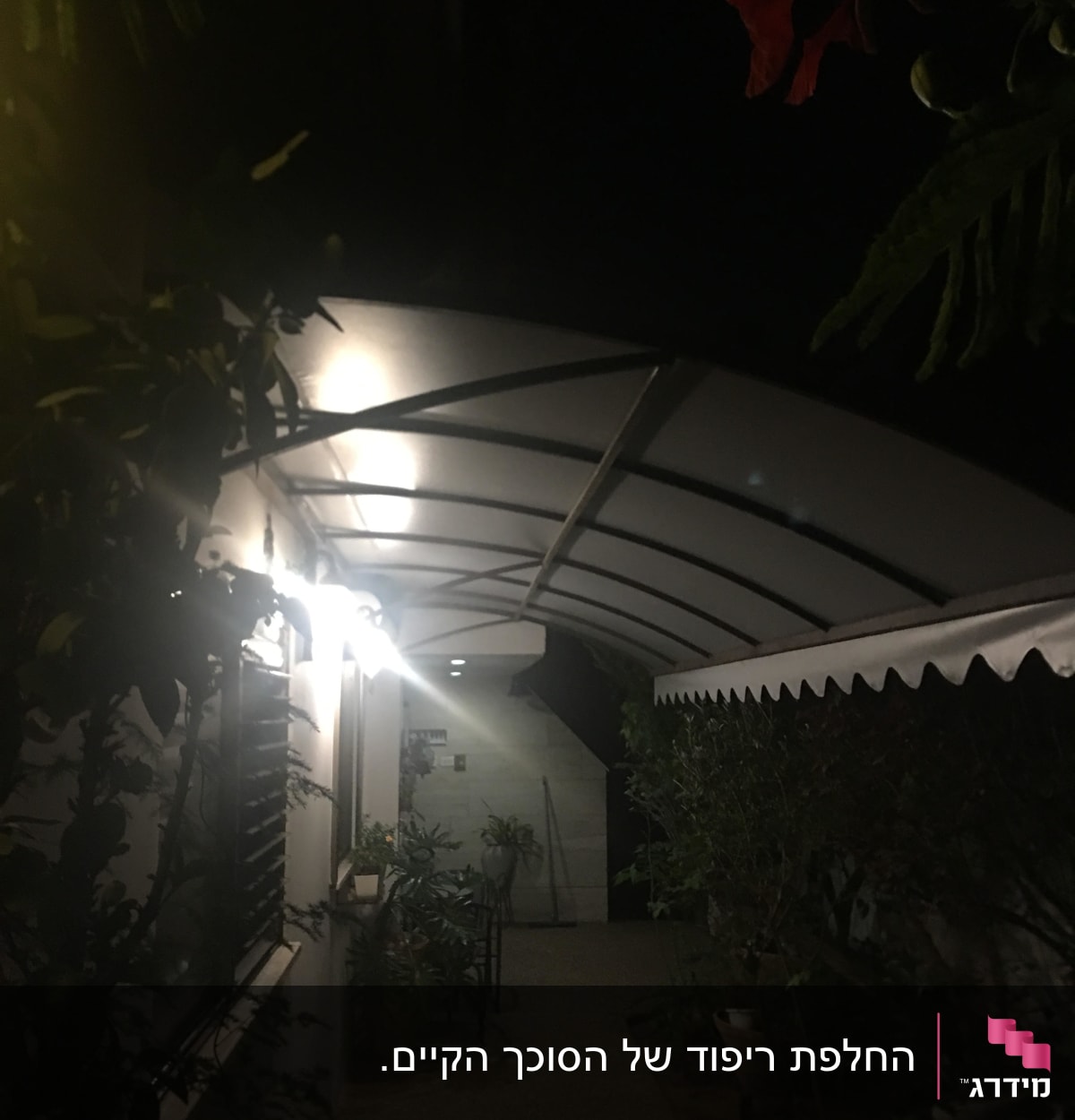 סוכך לבן מואר בלילה עם צמחייה מסביב